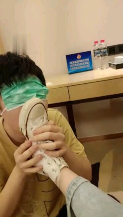 哈宝S第一次尝试的狗狗笨的可以