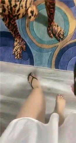 悠月S狗嘴欠草最后在震动bang释放